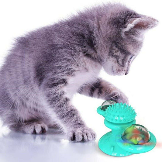 Kitten playing with a teal rotating windmill cat toy with suction cup and spiked ball for interactive play and dental care