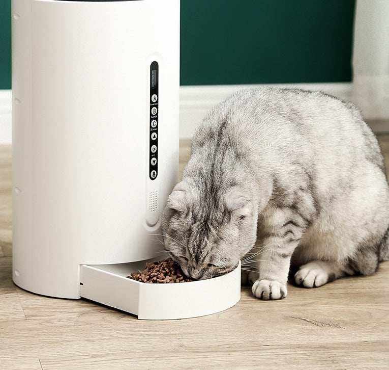 Smart Pet Feeder dispensing food to gray tabby cat on wooden floor