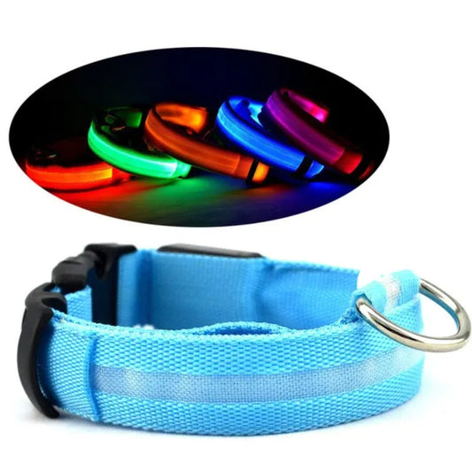 LED PET Safety Halo Style Collar - The Peppermint Room