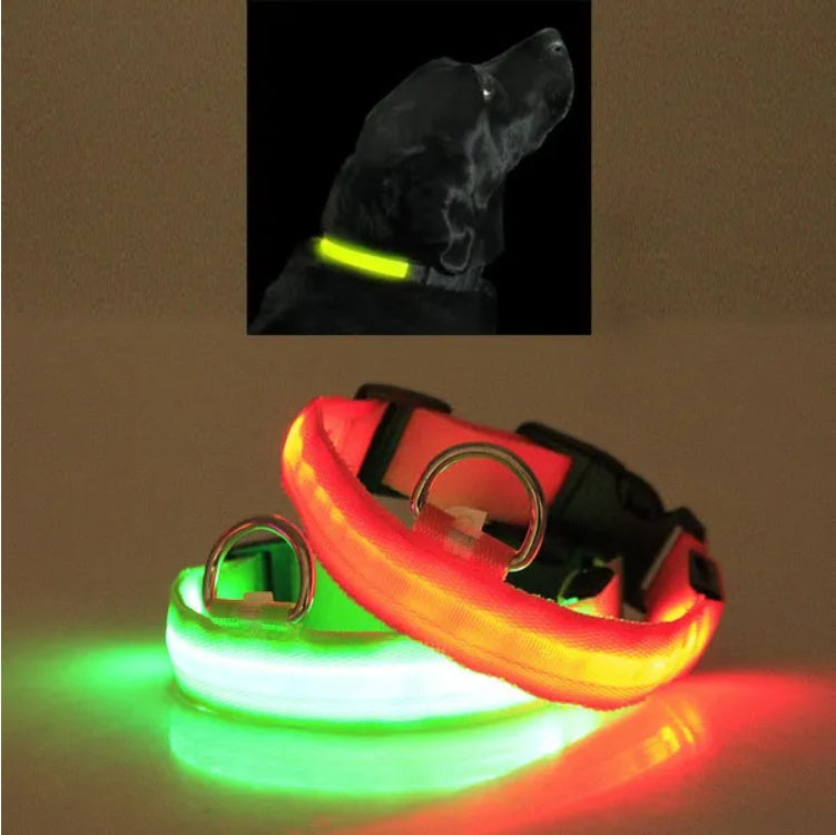 LED PET Safety Halo Style Collar - The Peppermint Room