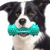 Black and white dog chewing blue rubber pet dog cleaning chew toy with serrated teeth for dental care