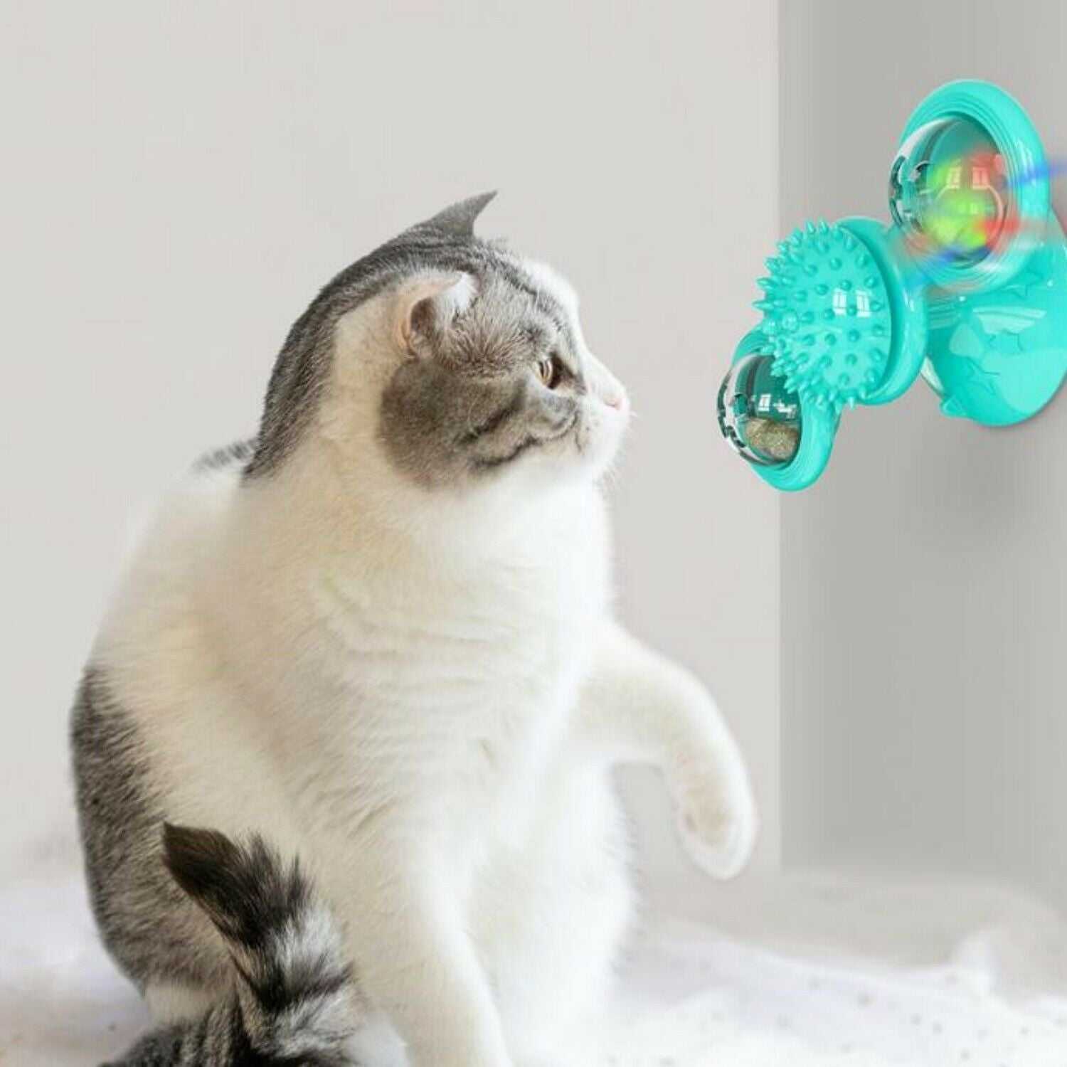 Cat playing with turquoise suction-cup mounted windmill cat toy with rotating spiky ball and LED light