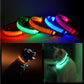 LED PET Safety Halo Style Collar - The Peppermint Room