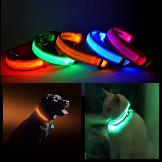 LED PET Safety Halo Style Collar - The Peppermint Room