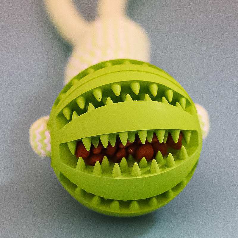 Green rubber dog treat ball with teeth-cleaning spikes attached to cotton rope chew toy for small dogs
