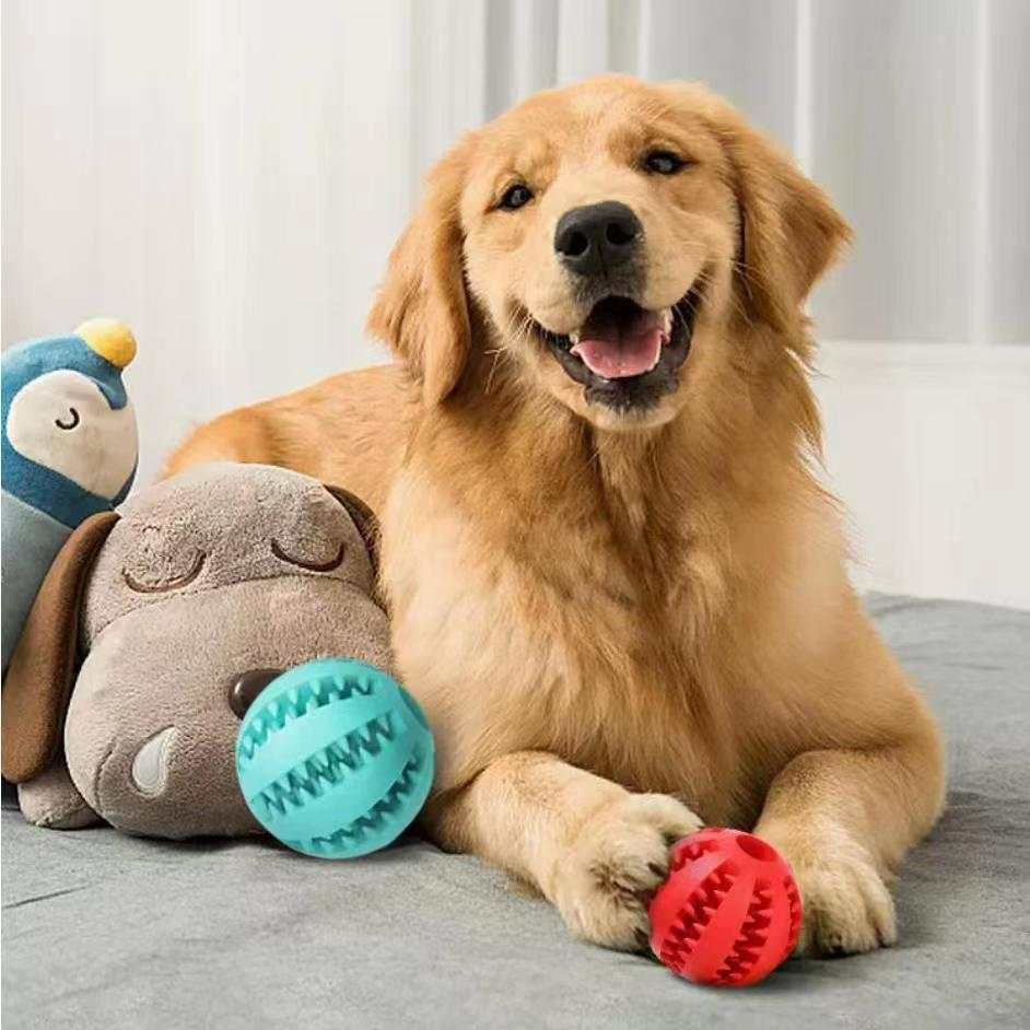 Golden retriever dog playing with red and blue chew-resistant treat balls toy on a gray surface with plush toys in the background