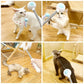 Cat Teaser Stick, Retractable Cat Wand With Replacement Head, Cat Feather Toy, Cat Interactive Toy For Indoor Cats For Relief Boredom And Exercise - The Peppermint Room