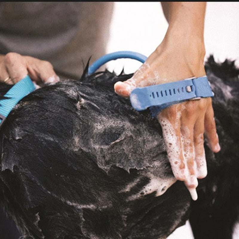 Blue pet bathing tool scrubbing and massaging a wet dog with soap suds