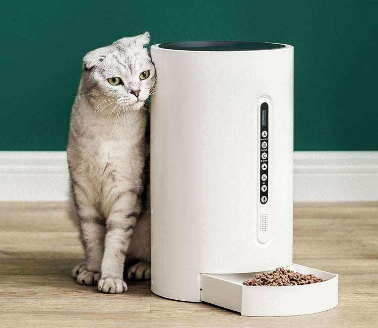 Smart Pet Feeder with timer function and 4.6L ABS material container next to a grey cat