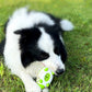 Phedgehog Shape Dog Toy Leaking Food Toys For Small Large Dogs Cat Chewing Toys Pet Tooth Cleaning Indestructible Puppy Toys Ball Molar Tooth Cleaning Stick - The Peppermint Room