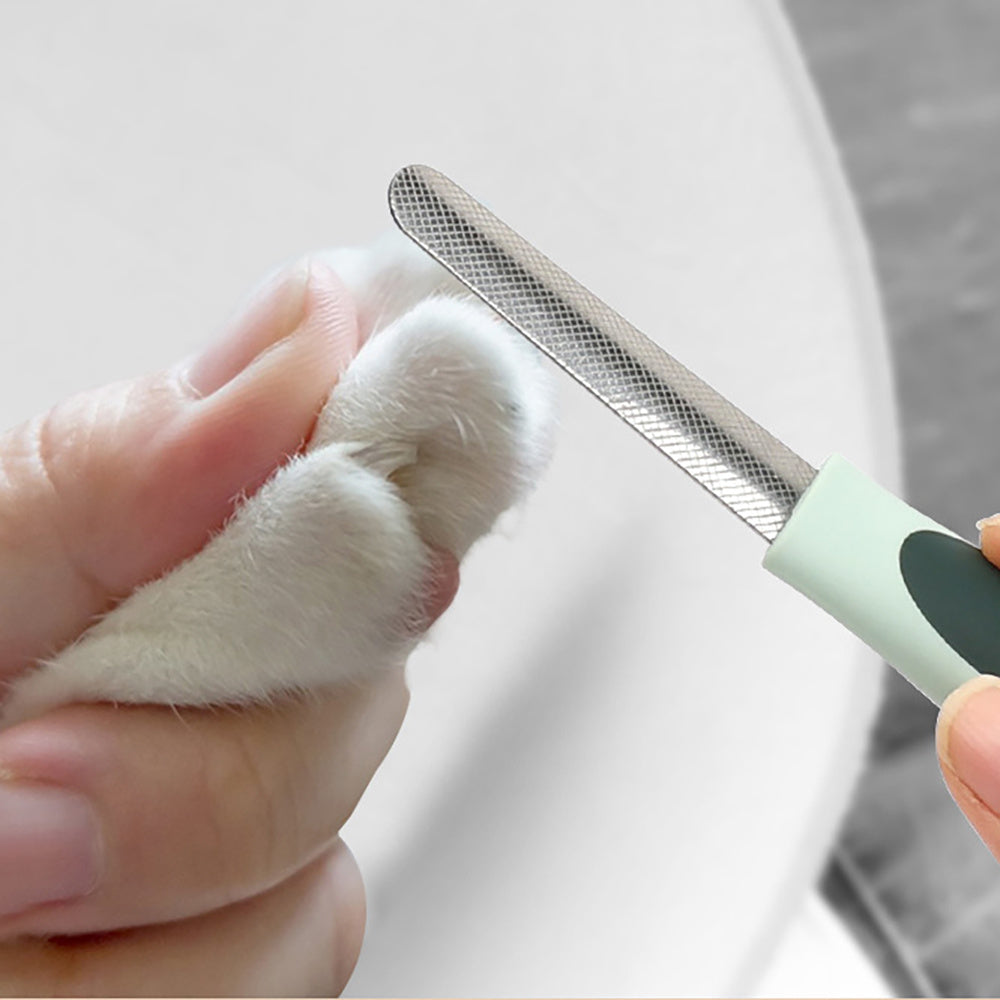 Dog Clippers, Professional Dog Grooming Kit, Cordless Dog Grooming Clippers For Thick Coats, Dog Hair Trimmer, Low Noise Dog Shaver Clippers, Quiet Pet Hair Clippers For Dogs Cats  Dog Grooming Kit - The Peppermint Room