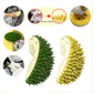 Durian Cat Brush, Dog Cat Self Groomer, Wall Corner Scratcher Massage Combs Durian Shape Molars Eat Slowly Toys Multifunctional Scratch Massager Tool Pets Clean Teeth Healthy Toys - The Peppermint Room