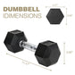 15LB 2 HDRS Rubber Coated Solid Cast Iron Dumbbells, Not Shipped On Weekends - The Peppermint Room