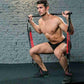 Pilates Bar Kit With Resistance Bands Portable Home Gym Workout Equipment Perfect Stretched Fusion Exercise Bar And Bands - The Peppermint Room
