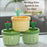 Cactus Sink Drain Filter – Anti-Clog Hair Catcher