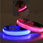 LED PET Safety Halo Style Collar - The Peppermint Room