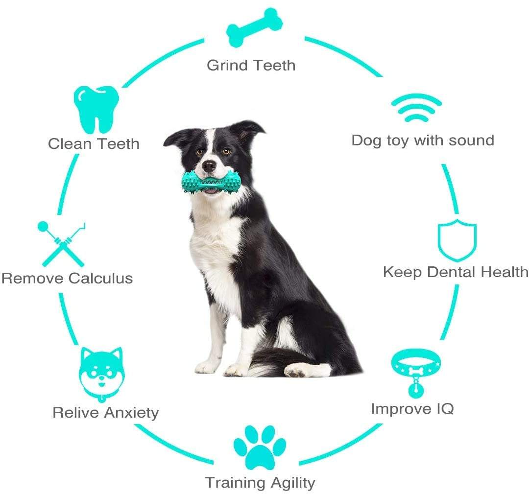 Pet dog chewing blue rubber molar stick toy for cleaning teeth and improving dental health