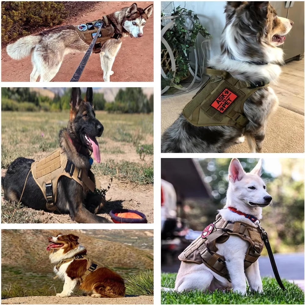 Pet Harness Luxury Dog Leash Set Chest Dog  Nylon Camouflage Dog Harness - The Peppermint Room