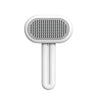 Cat Brush,Dog Brush, Pet Hair Cleaner Brush,Pet Grooming Cat Dog Brush,Pet Comb-Cat Comb For Kitten Massage Removes Loose Fur-Cat Grooming Brush Long Short Hair Cats Dogs Pet Brush - The Peppermint Room