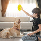 Dog Toys Durian Chew Glue Ball Pet Chewing Toys Dog Tooth Grinding Stick Very Resistant To Biting Teeth Cleaning Balls Puppy Dog Pet Safety Chew Toys - The Peppermint Room