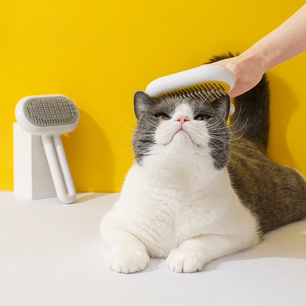 Cat Brush,Dog Brush, Pet Hair Cleaner Brush,Pet Grooming Cat Dog Brush,Pet Comb-Cat Comb For Kitten Massage Removes Loose Fur-Cat Grooming Brush Long Short Hair Cats Dogs Pet Brush - The Peppermint Room