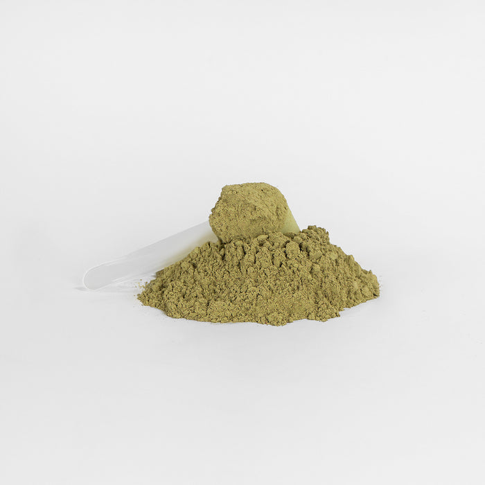 Green Superfood Powder Nutrient Rich Blend For Energy, Digestion Overall Wellness - The Peppermint Room