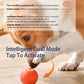 Interactive Bouncing Ball For Dogs,Automatic Smart Toy, Self-moving Rotating Stimulating Pet Entertainment, Noise-Reducing Urchin Cover,USB Rechargeable Dog Toy, Dog Electric Interactive Toy - The Peppermint Room