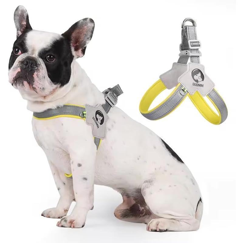 Pet Dog Cat Harness, Pet Harness With LeashSet, Adjustable Puppy Harness ComfortableReflective Easy Control Dog With Leather Leash,.No-Pull No Choke Pet Harness For TrainingWalking - The Peppermint Room