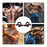 U-Shaped Push-Up Bars – Chest & Arm Trainer