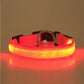 LED PET Safety Halo Style Collar - The Peppermint Room