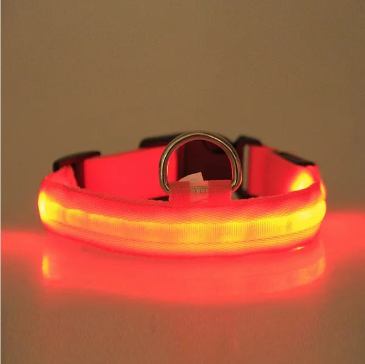 LED PET Safety Halo Style Collar - The Peppermint Room