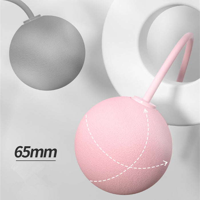 Training Jump Rope Set Fitness Jump Ropes And Silicone Handles For Women Men Kids With Speed Cordless Ball Adjustable Anti-Tangle PVC Wire Rope For Fitness Crossfit Indoor Outdoor Workout - The Peppermint Room