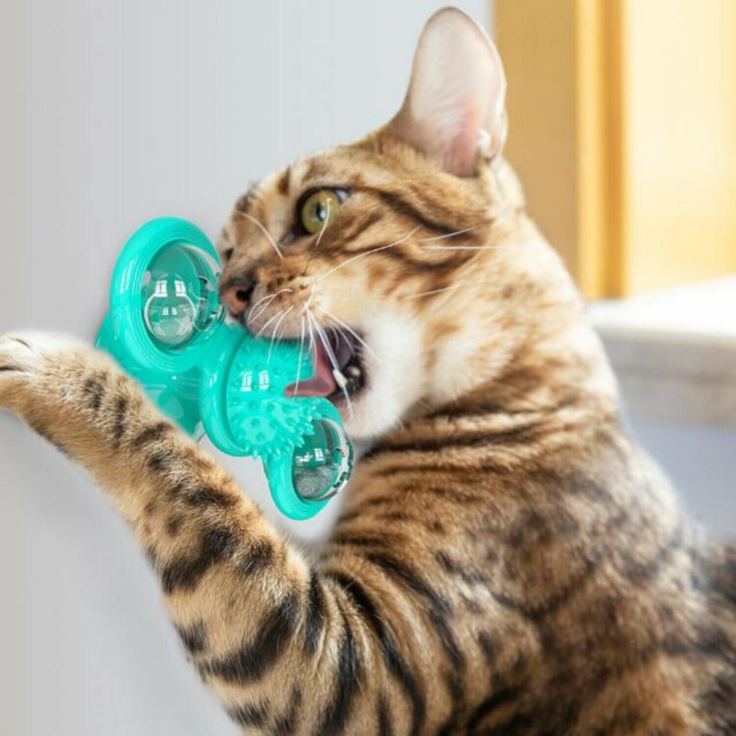 New Windmill Cat Toys Cute Rotating Interactive Cat Toy - Indoor Windmill Cat Toy With Suction Cup Catnip & Jagged Teeth Middle Ball, Smart Kitten Rotating Spinner Exercise Toy, Toothbrush & Massager - The Peppermint Room