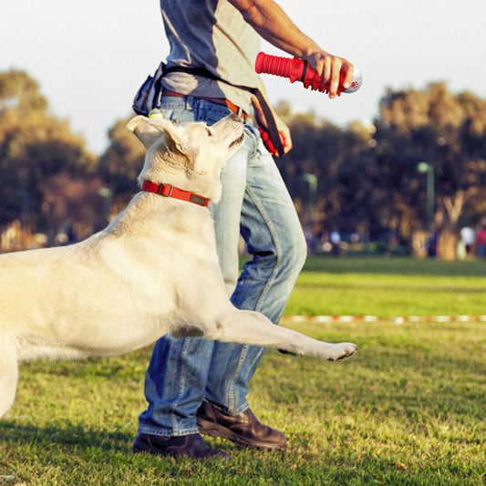 Interactive Toys Designed For Medium And Large Dogs - The Peppermint Room
