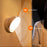 Motion Sensor LED Light – USB Rechargeable