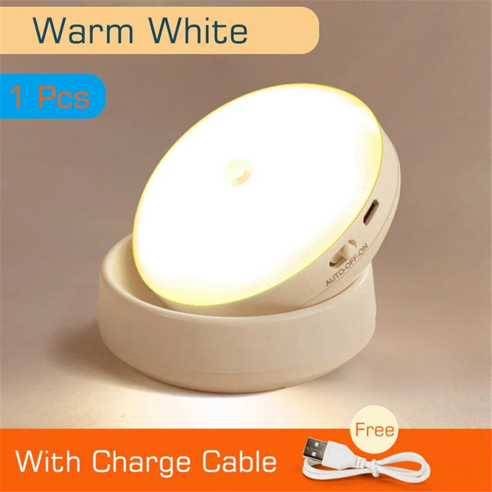 Motion Sensor LED Light – USB Rechargeable