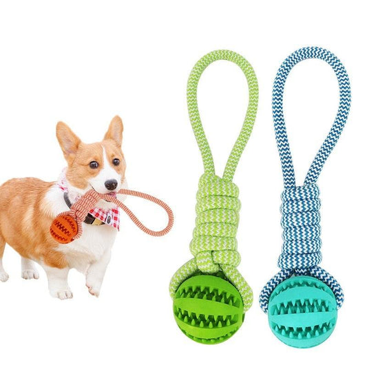 Small dog playing with chew-resistant dog toys treat balls with hemp rope for chewing and dental cleaning