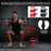 Multifunctional Push Up Board Home Strength Training Equipment With 15 Fitness Accessories Pilates Bar Resistance Band Roller Wheel Full Body Workout Home Gym Equipment - The Peppermint Room