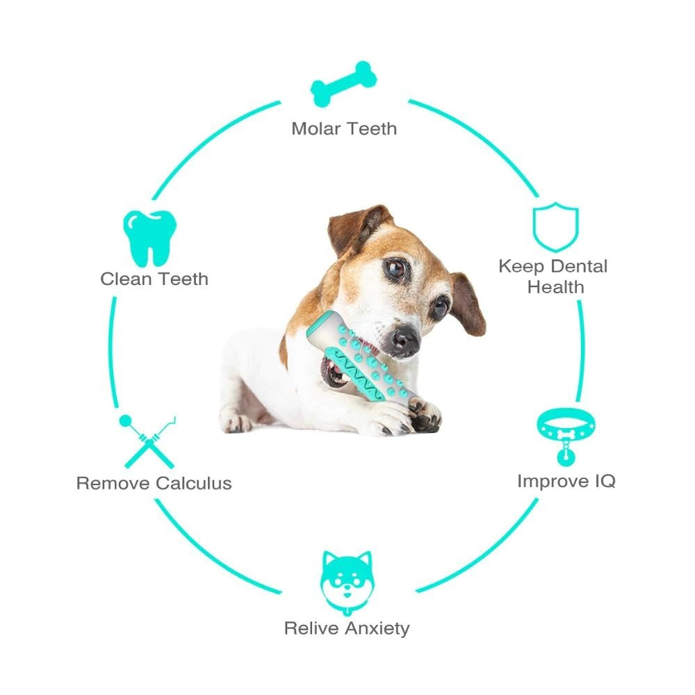 Dog Squeaky Toys For Aggressive Chewers, Tough Toothbrush Dog Chew Toy, Nearly Indestructible Rubber Toys For Pet Training, Teeth Cleaning, Playing And Chewing - The Peppermint Room